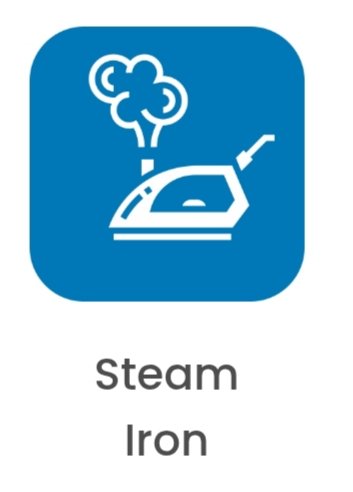 Steam Iron 